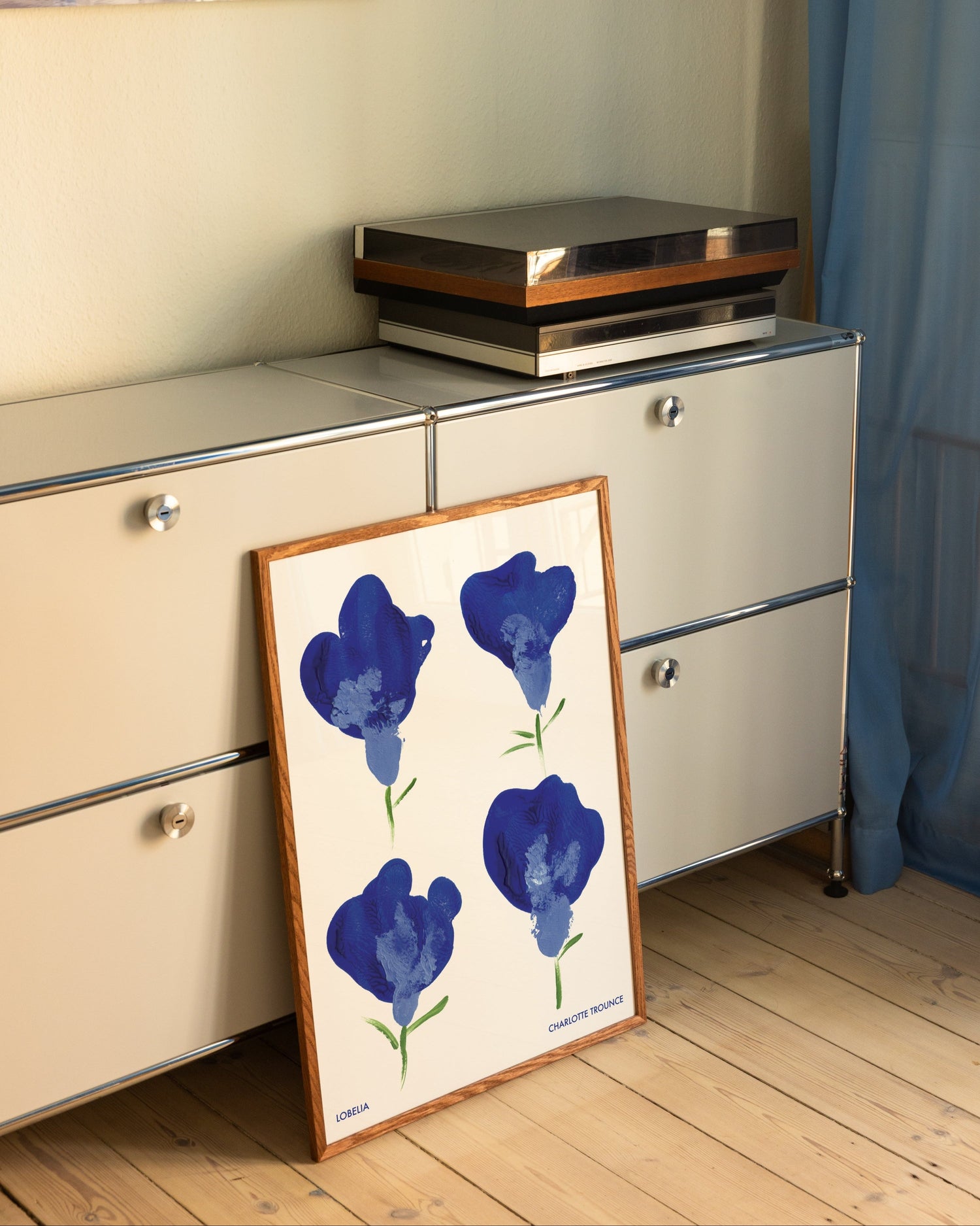Lobelia
