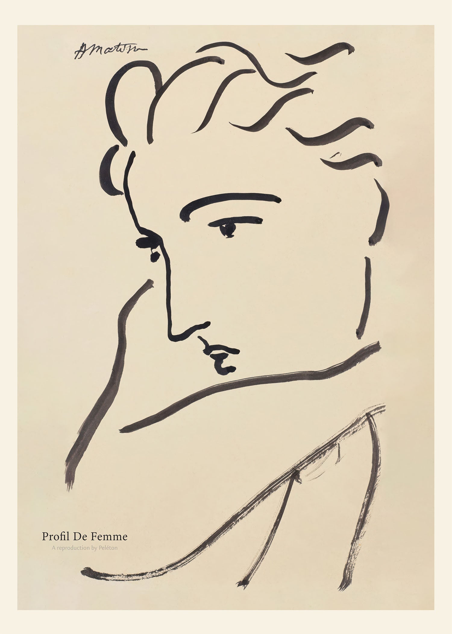 Profile Of Woman