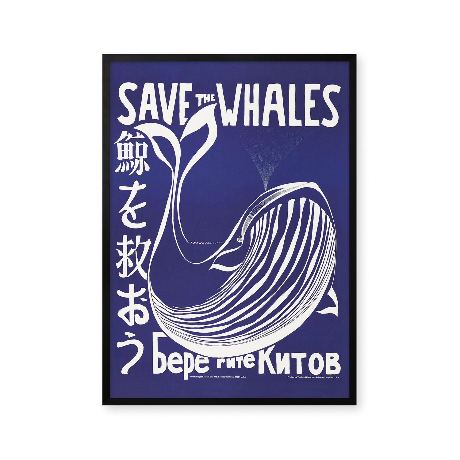 Save the Whales
