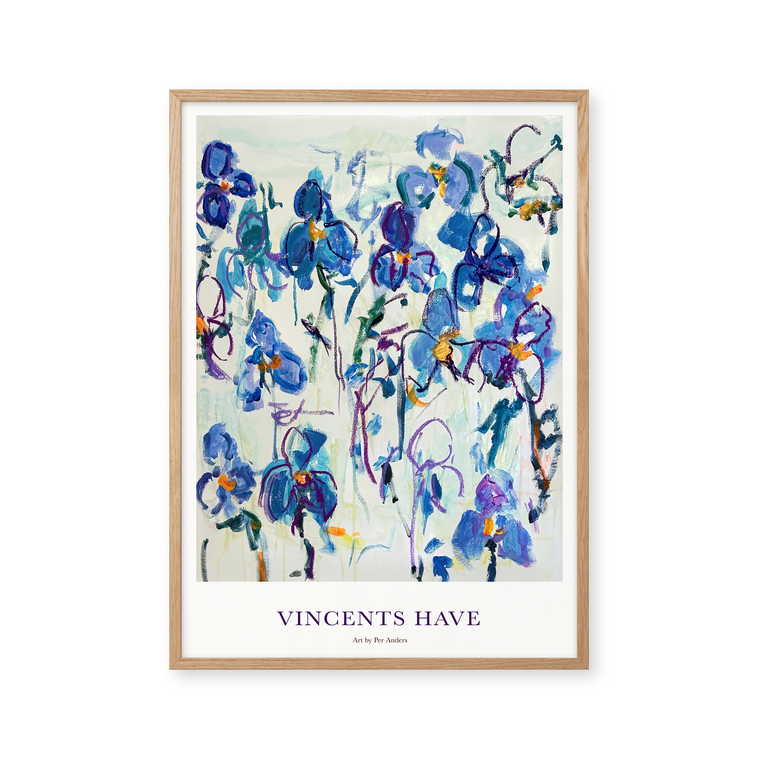 Vincents Have