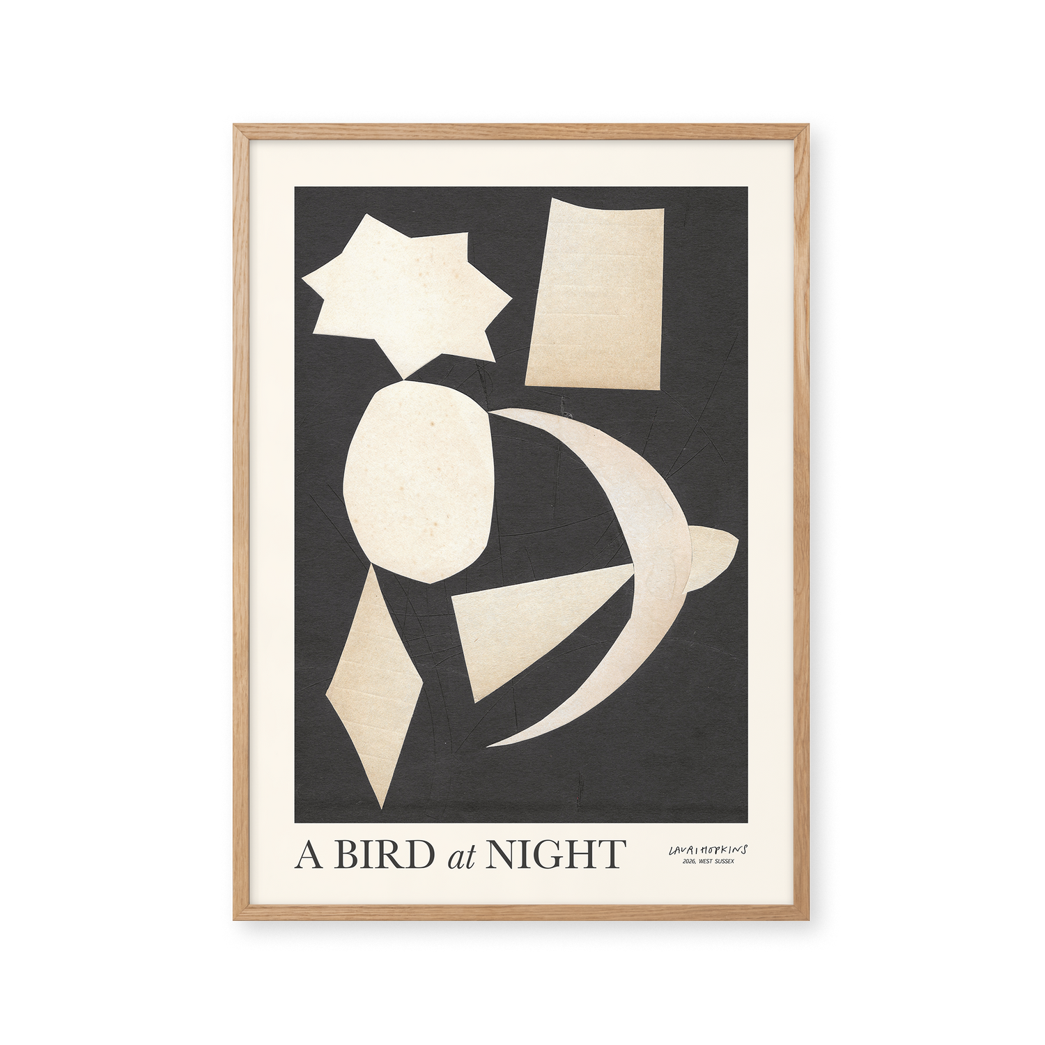 A Bird at Night