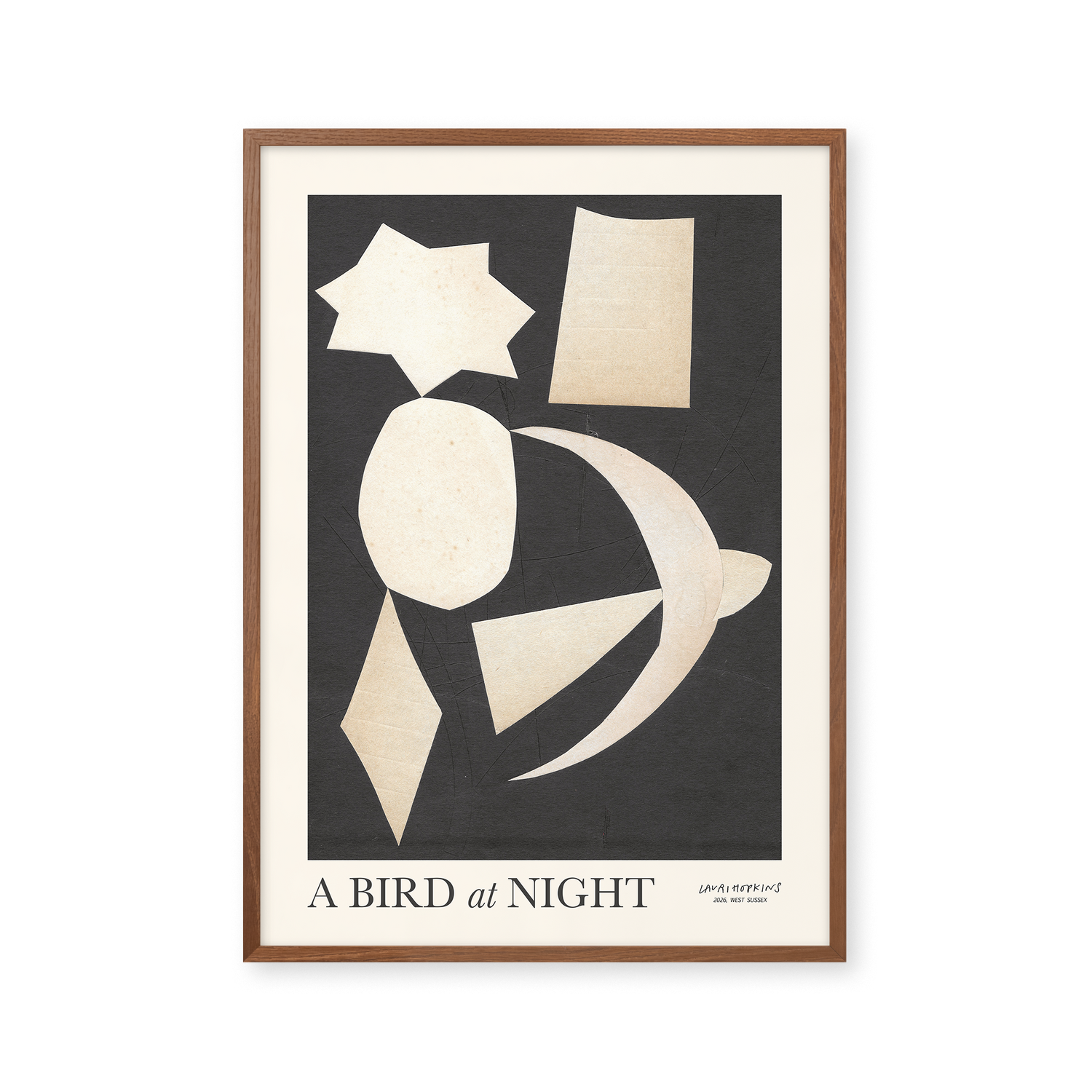 A Bird at Night