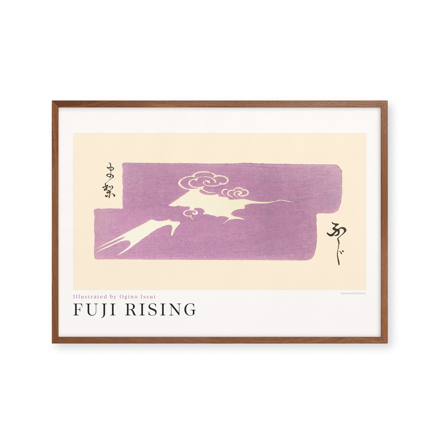 Fuji Rising