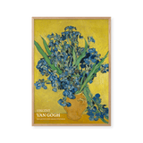 Irises