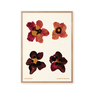Nasturtium I
