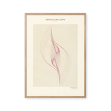 Pendulum Curve Vol. 2