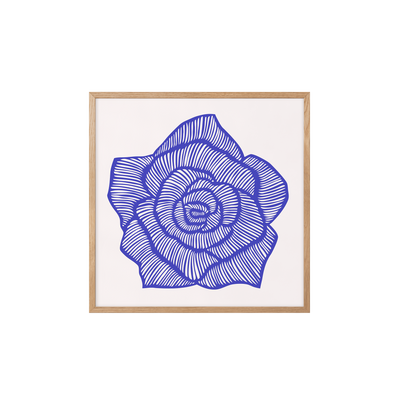 Rose - Blue