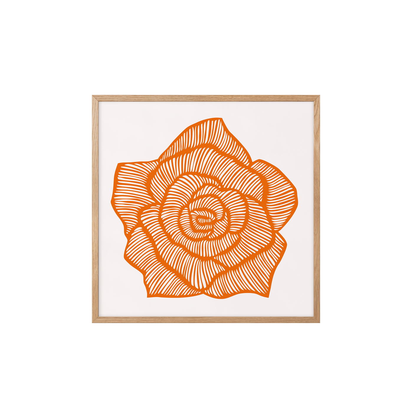 Rose - Orange