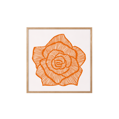 Rose - Orange