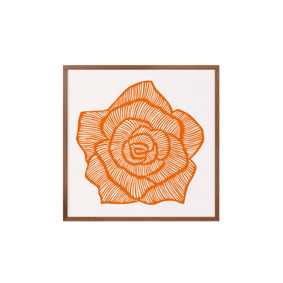 Rose - Orange