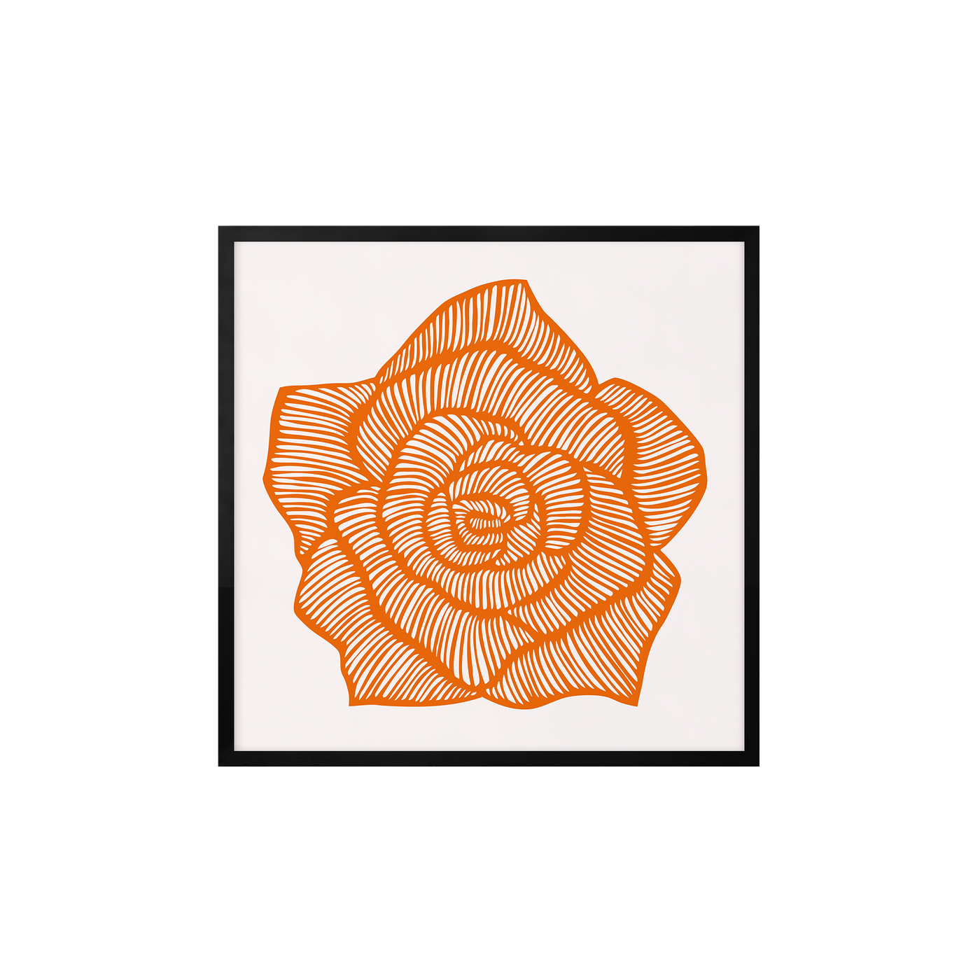 Rose – Orange