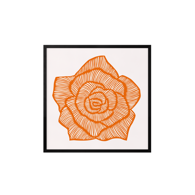 Rose - Orange