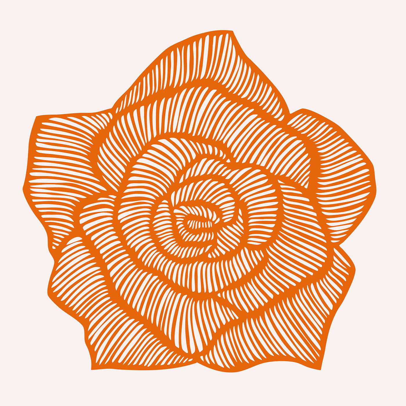 Rose – Orange