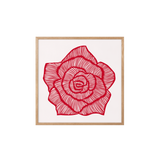 Rose - Red