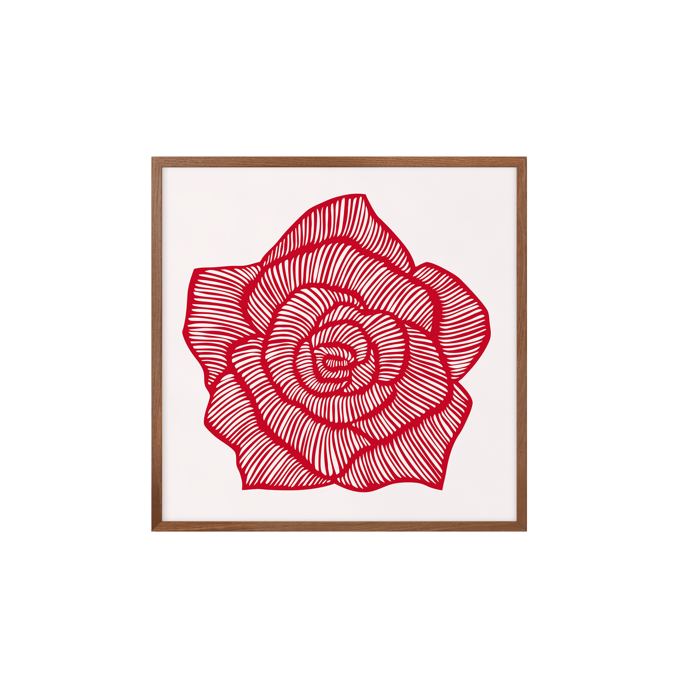 Rose – Red