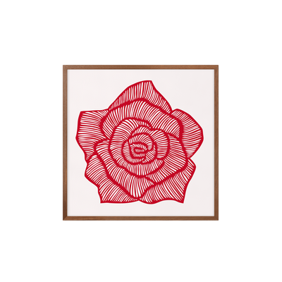 Rose – Red