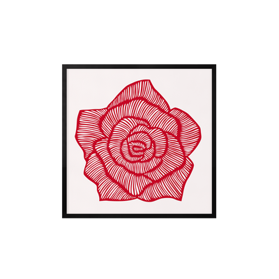 Rose – Red