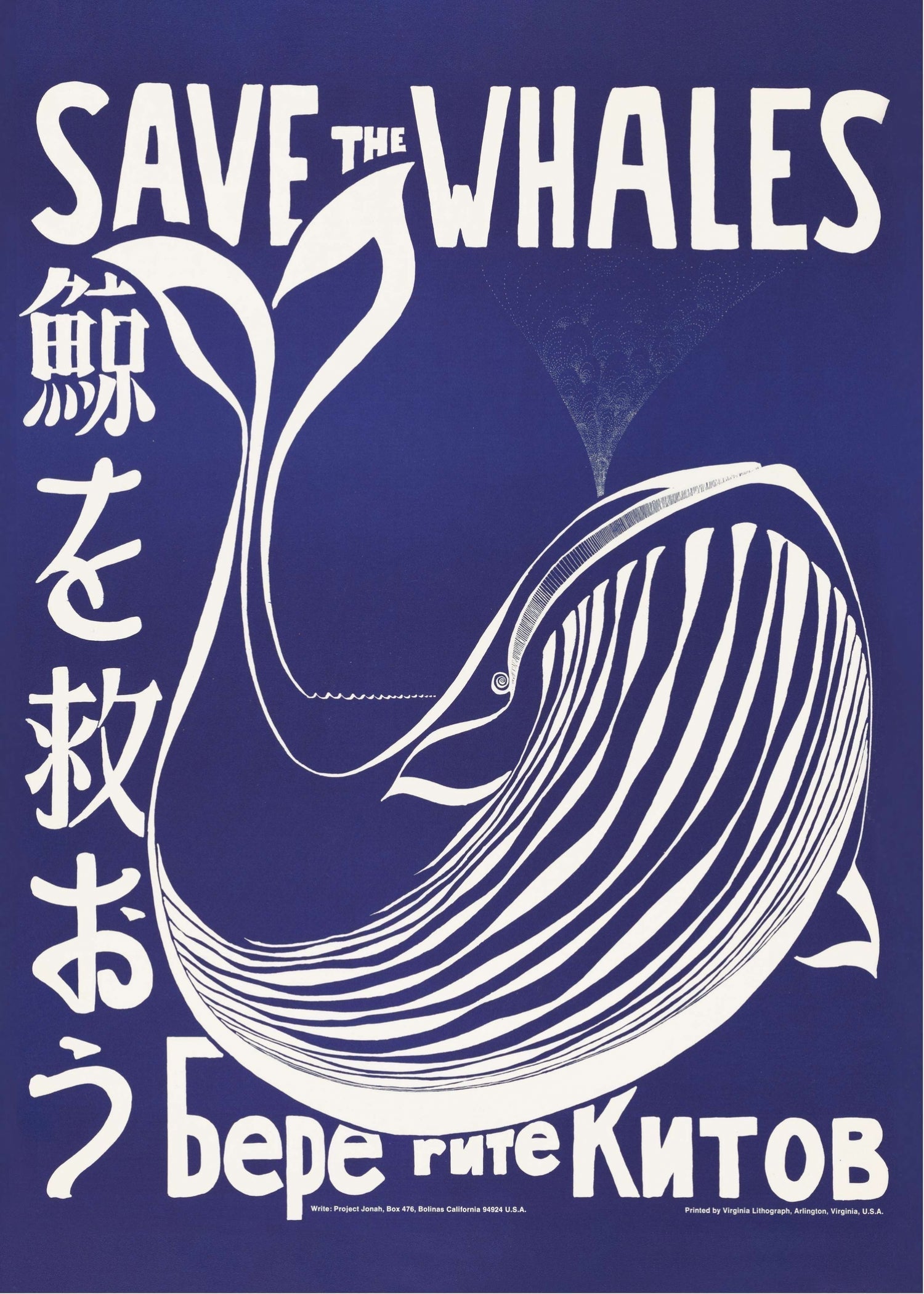 Save the Whales