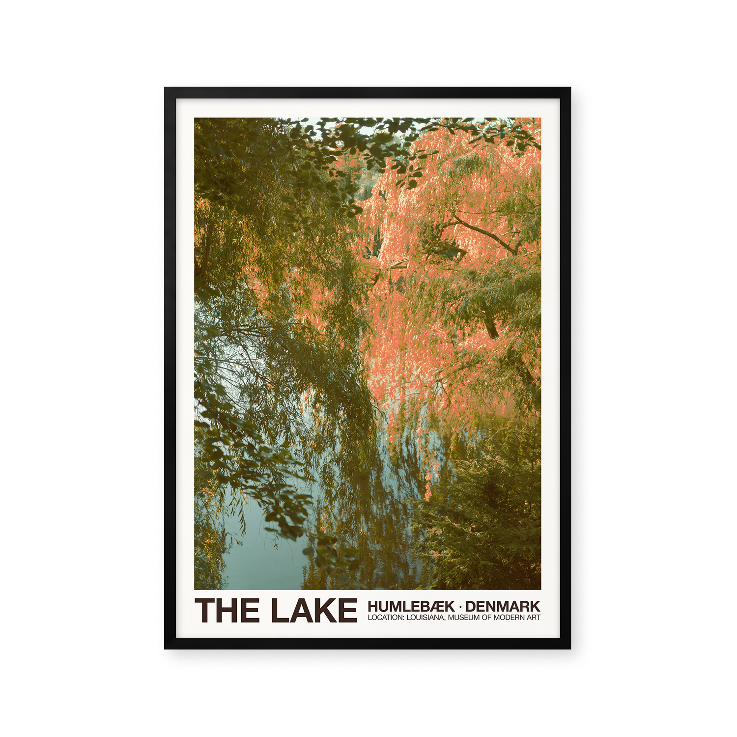 The Lake